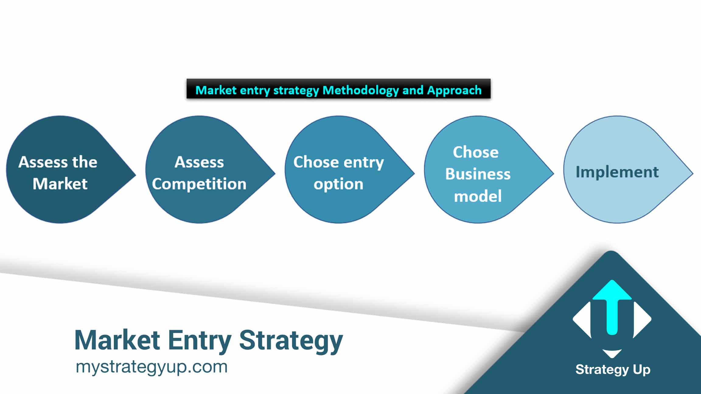 Market entry strategy methodology